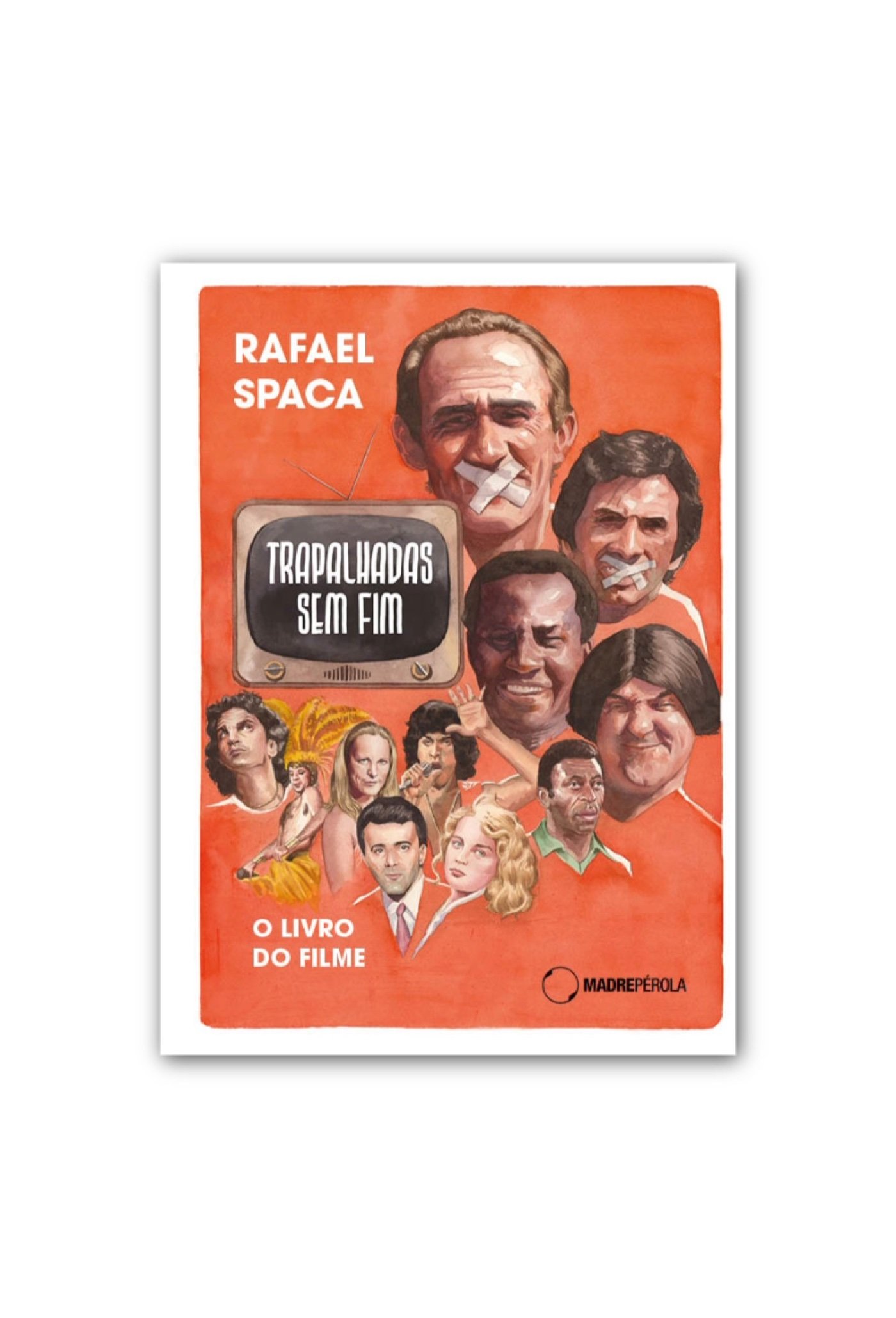 Trapalhadas sem fim: o livro do filme