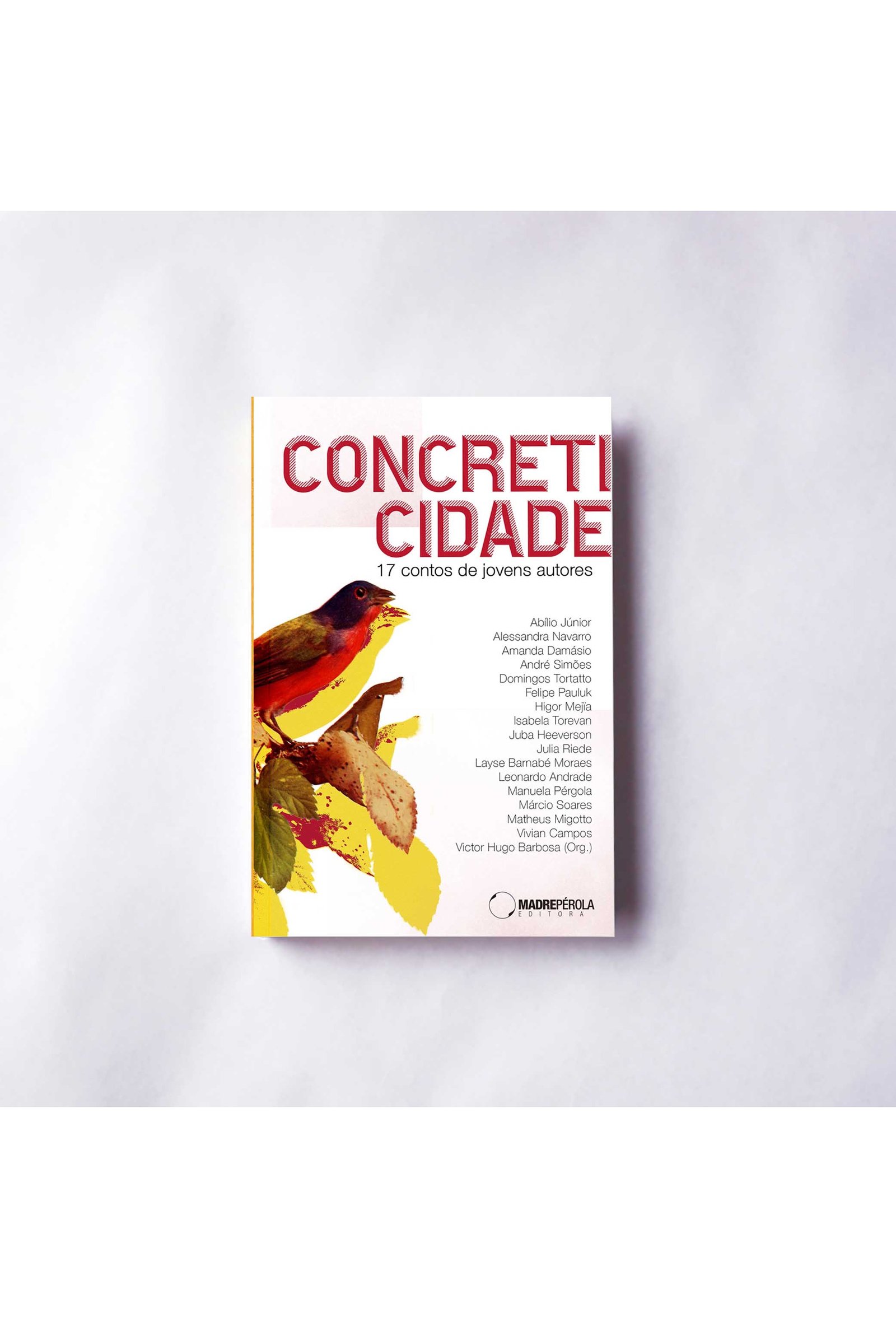 Concreticidade: 17 contos de jovens autores londrinenses